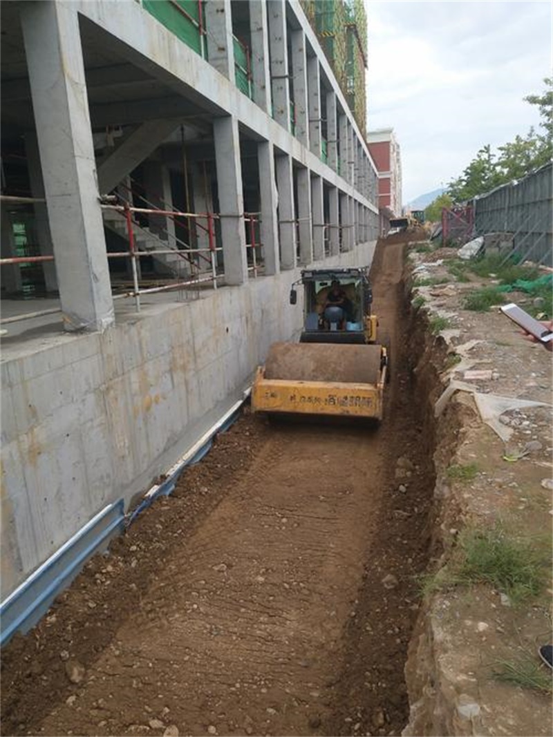 1598515068723364.jpg 1.jpg