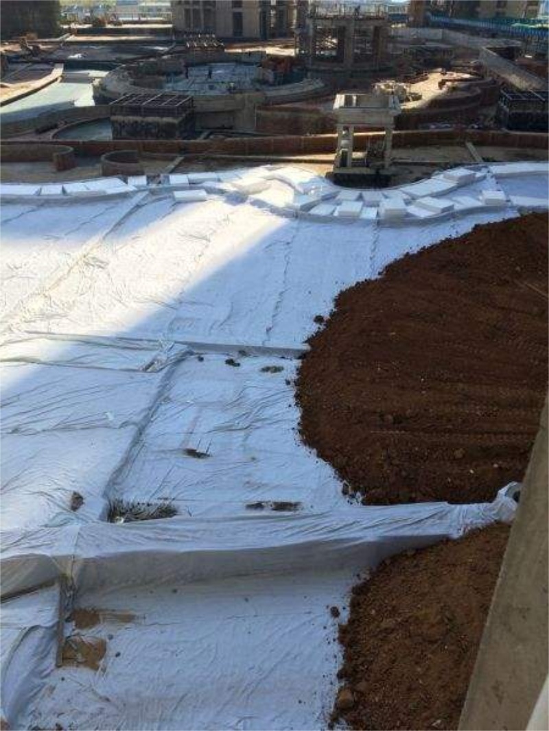 1598515088254705.jpg 2.jpg